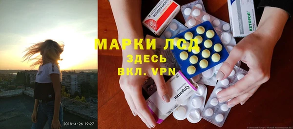 трава Арсеньев