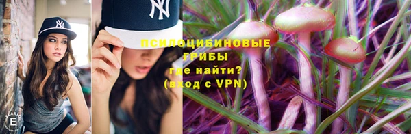 шишки Баксан