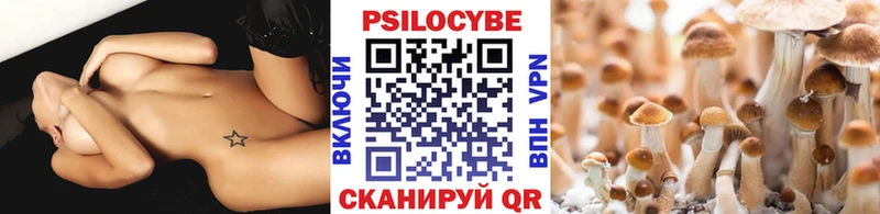 Псилоцибиновые грибы Cubensis  даркнет сайт  mega ссылка  Судак 